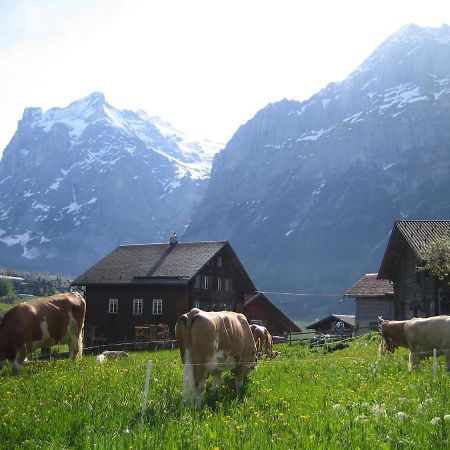 Chalet Baergblick Grindelwald Kültér fotó