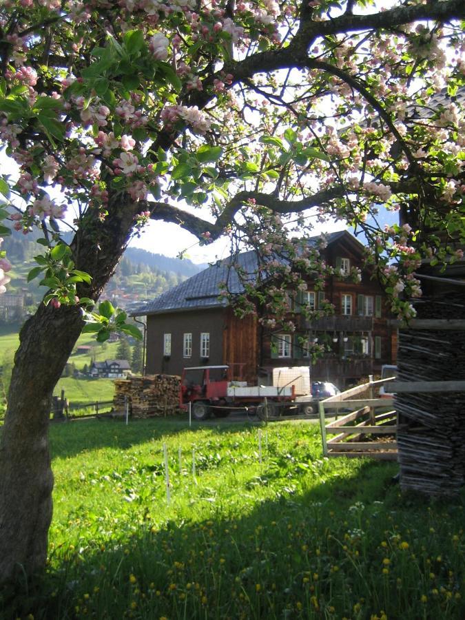 Chalet Baergblick Grindelwald Kültér fotó