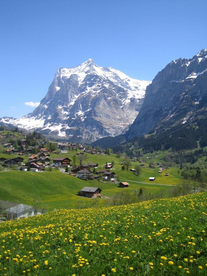 Chalet Baergblick Grindelwald Kültér fotó