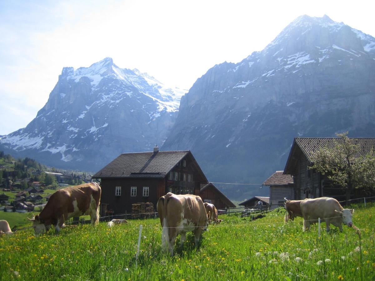 Chalet Baergblick Grindelwald Kültér fotó