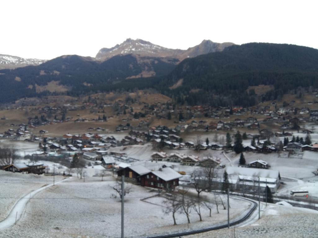 Chalet Baergblick Grindelwald Kültér fotó