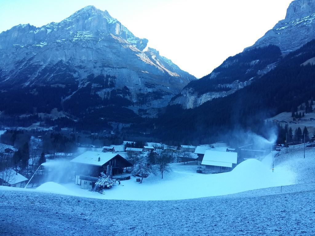 Chalet Baergblick Grindelwald Kültér fotó