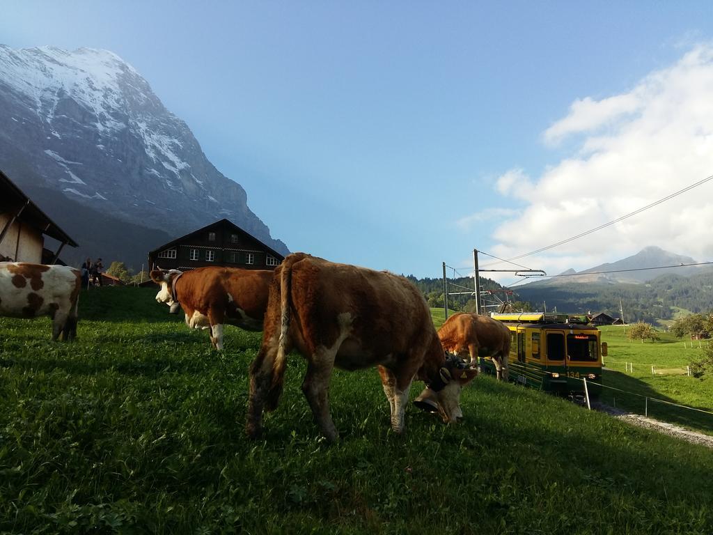 Chalet Baergblick Grindelwald Kültér fotó