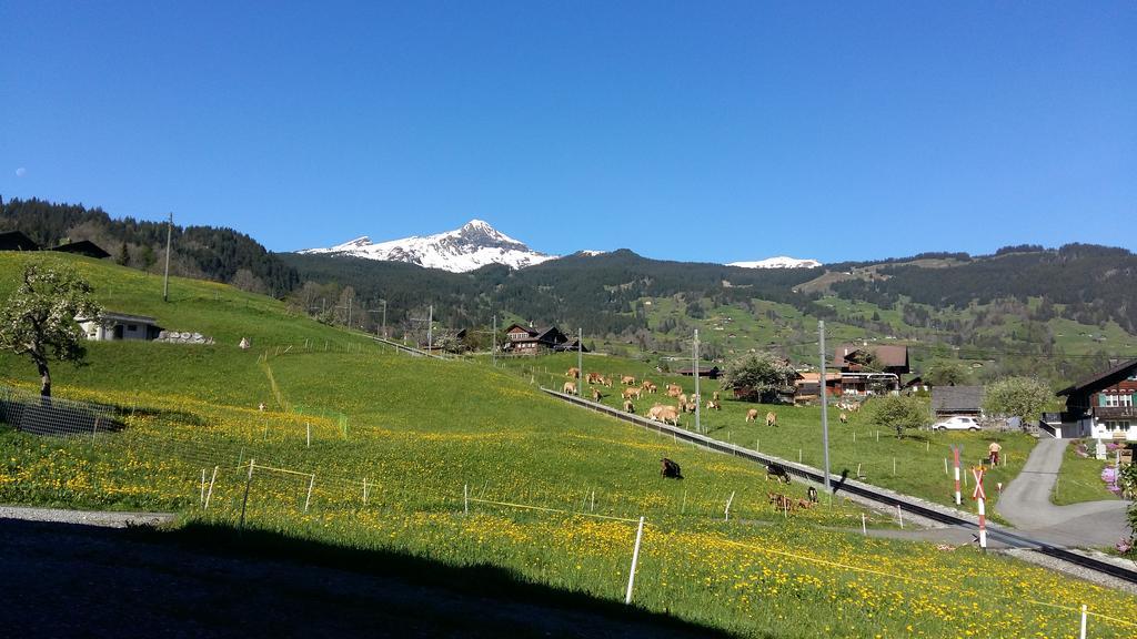 Chalet Baergblick Grindelwald Kültér fotó