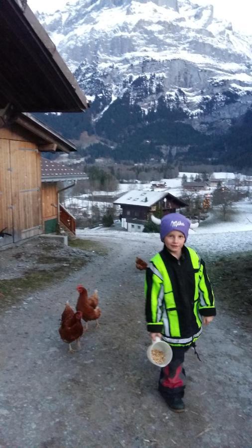 Chalet Baergblick Grindelwald Kültér fotó